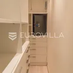 Rent 4 bedroom apartment of 353 m² in Zagreb