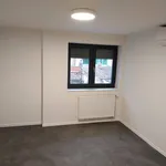 Pronajměte si 1 ložnic/e byt o rozloze 129 m² v Brno