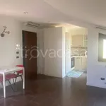 Rent 1 bedroom apartment of 52 m² in Aprilia