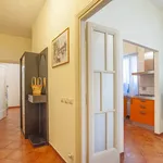 Rent 3 bedroom apartment of 83 m² in Roma