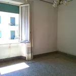 Rent 3 bedroom apartment of 85 m² in Rome