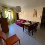 Rent 2 bedroom apartment of 50 m² in Capodimonte