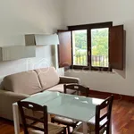 Rent 2 bedroom apartment of 56 m² in Zagarolo