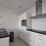 Rent 3 bedroom apartment of 77 m² in Rotterdam