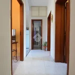 Rent 3 bedroom apartment of 60 m² in Messina