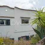 Rent 7 bedroom house of 250 m² in Ischia