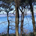 Rent 2 bedroom apartment of 65 m² in Bracciano