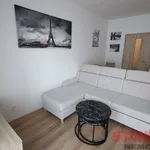 Rent 1 bedroom apartment in Pilsen