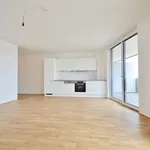 Rent 2 bedroom apartment of 54 m² in Wien