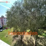 Rent 4 bedroom apartment of 70 m² in Karviná