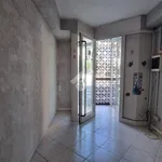 Rent 2 bedroom apartment of 40 m² in Segni