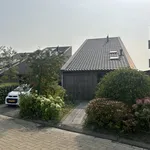 Rent 3 bedroom house of 165 m² in friesland