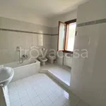 Rent 2 bedroom apartment of 65 m² in Prato