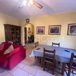 Rent 4 bedroom apartment of 100 m² in Perugia