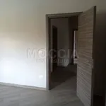 Rent 3 bedroom apartment of 100 m² in Caserta