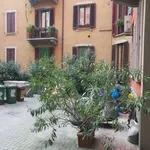 Rent 3 bedroom apartment of 134 m² in Milan