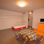 Rent 1 bedroom apartment of 45 m² in Alba