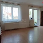 Rent 1 bedroom apartment of 44 m² in Praha