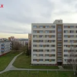 Rent 1 bedroom apartment of 41 m² in plzen