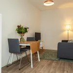 Huur 1 slaapkamer appartement van 377 m² in Rotterdam