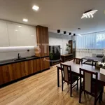 Rent 4 bedroom apartment of 74 m² in Ostrava