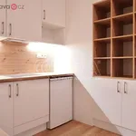 Rent 1 bedroom apartment of 45 m² in Brno