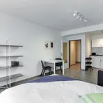 Rent 1 bedroom apartment of 31 m² in Leverkusen