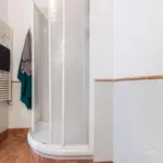 Rent 1 bedroom apartment in Rome