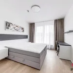 Pronajměte si 2 ložnic/e byt o rozloze 107 m² v Prague