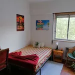 Rent a room of 120 m² in lisbon