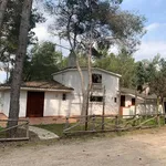 Rent 8 bedroom house of 180 m² in Castellaneta