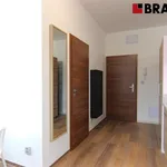 Rent 1 bedroom apartment of 36 m² in Brno