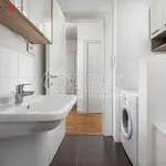 Rent 3 bedroom apartment of 60 m² in Praha