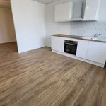 Rent 1 bedroom apartment of 31 m² in Clermont-Ferrand