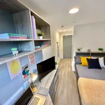 Rent 1 bedroom apartment in Coventry