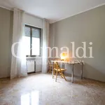 Rent 4 bedroom apartment of 98 m² in Bologna