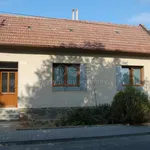 Rent 1 bedroom house of 73 m² in Žarošice