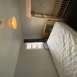 Rent 4 bedroom house in Worcester