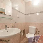 Rent 1 bedroom apartment in Capital City of Prague