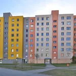 Rent 2 bedroom apartment of 48 m² in České Budějovice