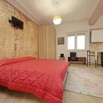 Rent 1 bedroom apartment in Rome