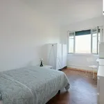 Rent 15 bedroom apartment in Lisbon