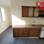 Rent 2 bedroom apartment of 48 m² in Pilsen