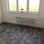 Rent 1 bedroom apartment of 36 m² in Ostrava