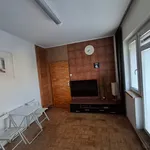 Rent 1 bedroom apartment in Praha 9