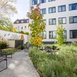 Rent 1 bedroom apartment of 26 m² in Düsseldorf