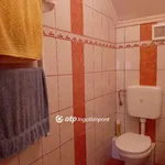 Rent 1 bedroom house of 25 m² in Debrecen