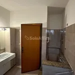 Rent 3 bedroom apartment of 160 m² in Aprilia