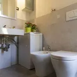 Rent 1 bedroom apartment in milan