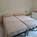 Rent 3 bedroom apartment of 80 m² in Torino